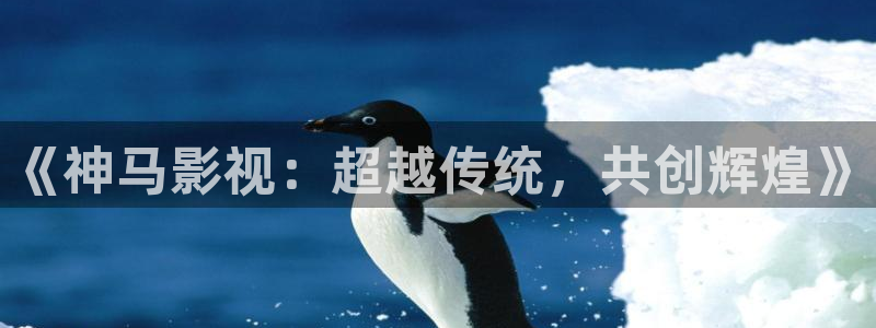 神马午夜影院嘿嘿